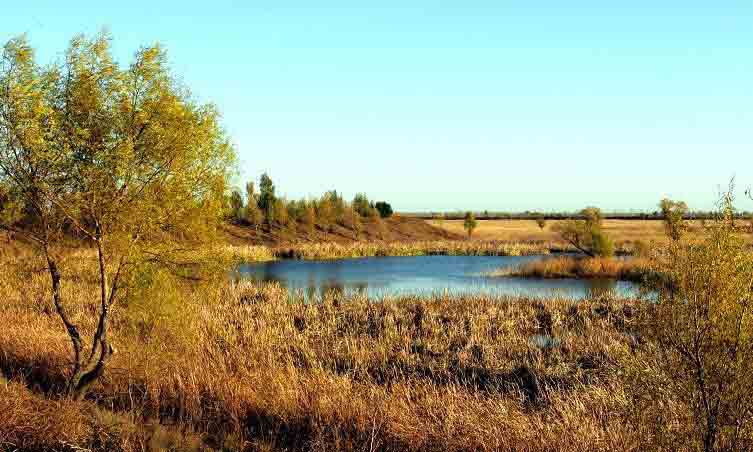 台安天气预报10天