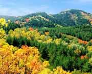 蒲县天气预报30天