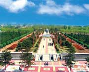 怀仁天气预报10天