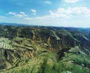 中阳天气预报10天