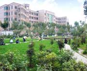 礼泉天气预报7天