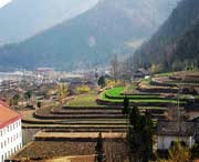 佛坪天气预报10天