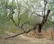 夏津天气预报10天