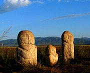 昭苏天气预报10天