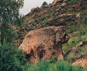 福海天气预报40天