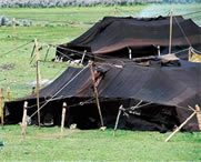 左贡天气预报7天