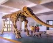 合水天气预报30天