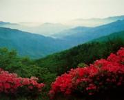 正宁天气预报30天