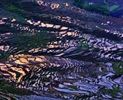 尤溪天气预报60天