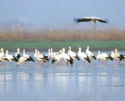新建天气预报10天