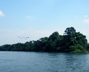 衡南天气预报60天