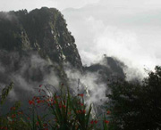 临武天气预报40天