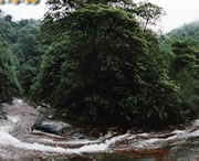 习水天气预报7天