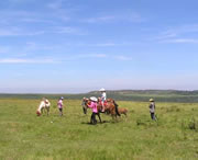 龙里天气预报40天