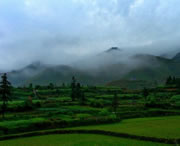 台江天气预报60天