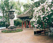 黑水天气预报40天