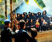 那坡天气预报10天