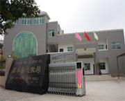 西林天气预报10天